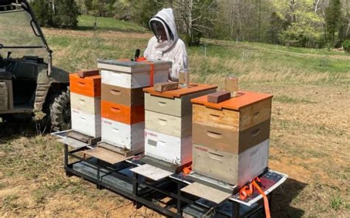 When should I put honey supers on?