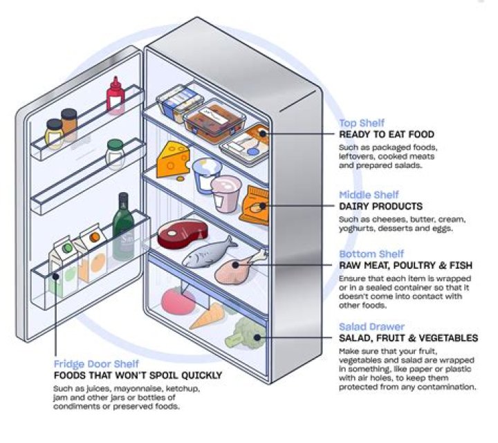 Where should you store a toaster in the kitchen?