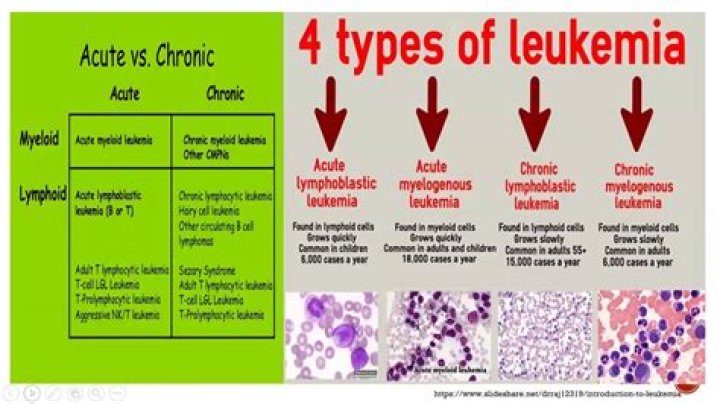 Which is worse acute or chronic leukemia?