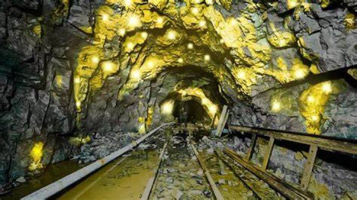 Who is the richest gold miner?