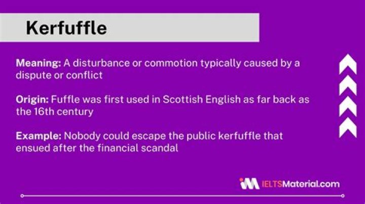 Who uses the word kerfuffle?