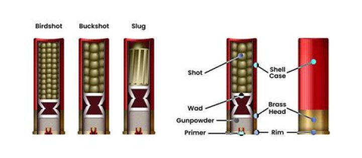 Why do drums have shells?