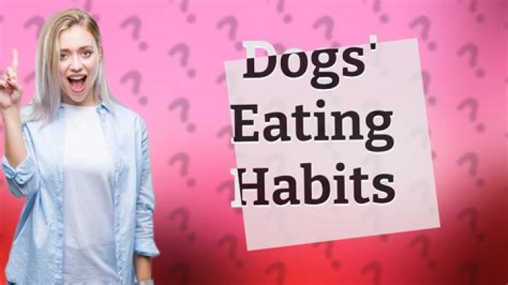 Will dogs stop eating when they are full?